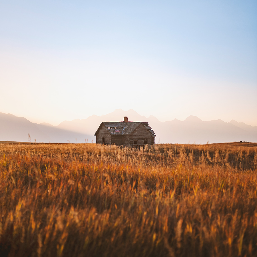 The Woolshed Story